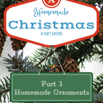 Homemade Christmas Part 3