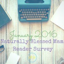 January 2016 Naturally Blessed MamaReader Survey 3